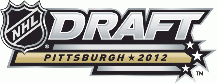 NHL Draft 2012 Alternate Logo DIY iron on transfer (heat transfer)